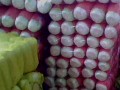 大白菜(北京三號） (3?)