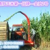 供應高產優質青貯玉米金油二號