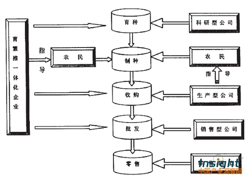 玉米種子市場流通模型.jpg