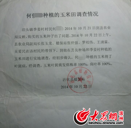 沾化80畝玉米絕收 淄博博信農業種子品質遭質疑 沾化80畝玉米絕收 淄博博信農業種子品質遭質疑