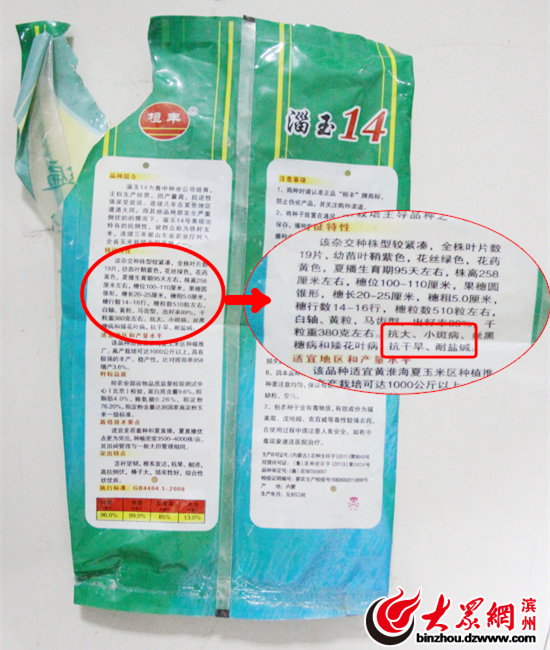 沾化80畝玉米絕收 淄博博信農業種子品質遭質疑 沾化80畝玉米絕收 淄博博信農業種子品質遭質疑