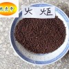 供應滄州低價出售欒樹種子清倉批發價電議15931751709