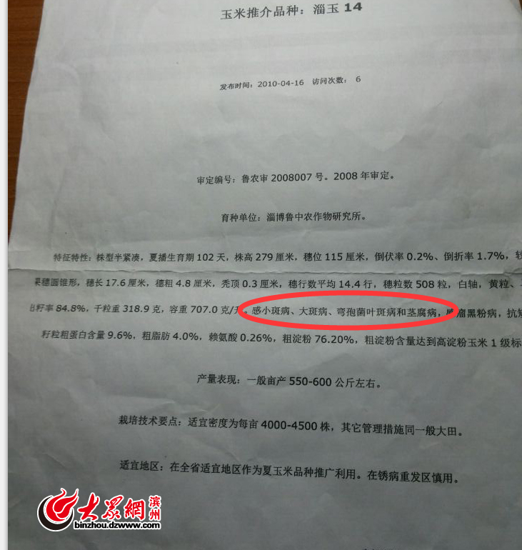 沾化80畝玉米絕收續:淄博博信農業涉嫌虛假宣傳 沾化80畝玉米絕收續:淄博博信農業涉嫌虛假宣傳