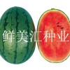 日本進口，精品西瓜種子，口感極佳，品質超群。