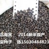 2014年優種