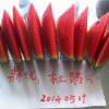 鼎優農業-杜鵑 早熟西瓜品種