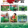 優良西瓜品種 鼎優農業-彩云