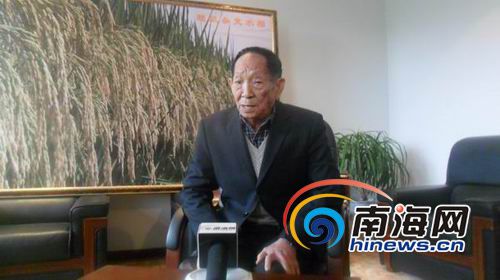 2015年1月31日,由中國科學院、中國工程院主辦,兩院院士評選的2014年中國十大科技進展新聞揭曉,“超級稻畝產首破千公斤”,入圍第五項。同時,袁隆平院士作為“技術創新和科技成果轉化杰出者”當選“2014中國科學年度新聞人物”。2015年2月3日,南海網記者遠赴湖南長沙,專訪了這位被譽為“雜交水稻之父”的科學家。(南海網記者孫令正攝)