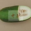 簡介: