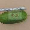 簡介: