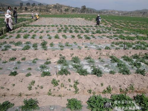 圖片其版權均歸原作者所有,未經許可嚴禁轉載或建立鏡像,如需轉載,請與作者或本站聯系