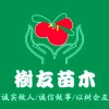 簡介: