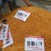 適宜粒收