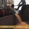 阜陽電視臺跟蹤報道