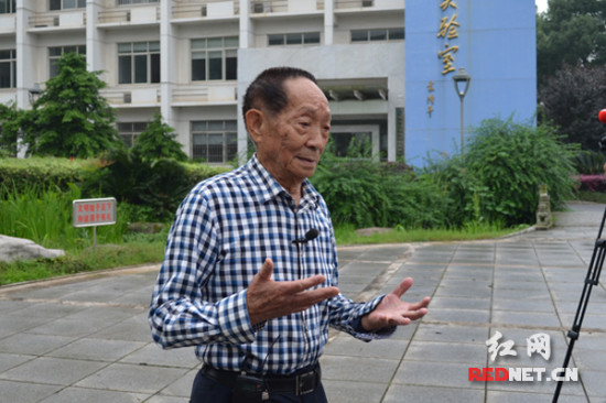 袁隆平:以世博會為契機撬動雜交稻種子出口