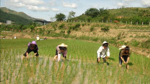 圖片其版權均歸原作者所有,未經許可嚴禁轉載或建立鏡像,如需轉載,請與作者或本站聯系