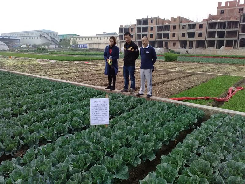 圖片其版權均歸原作者所有,未經許可嚴禁轉載或建立鏡像,如需轉載,請與作者或本站聯系