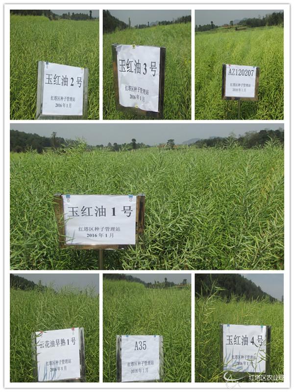 圖片其版權均歸原作者所有,未經許可嚴禁轉載或建立鏡像,如需轉載,請與作者或本站聯系