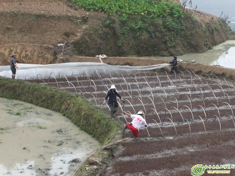 圖片其版權均歸原作者所有，未經許可嚴禁轉載或建立鏡像，如需轉載，請與作者或本站聯系