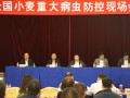 農業部動員部署小麥重大病蟲防控工作