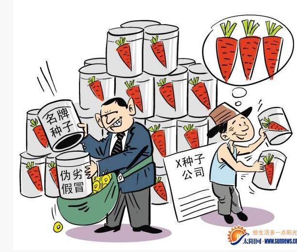 賣家出售冒牌胡蘿卜種子 侵犯知識產權被判刑