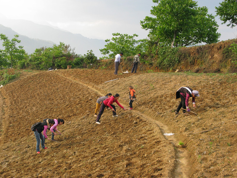 圖片其版權均歸原作者所有，未經許可嚴禁轉載或建立鏡像，如需轉載，請與作者或本站聯系