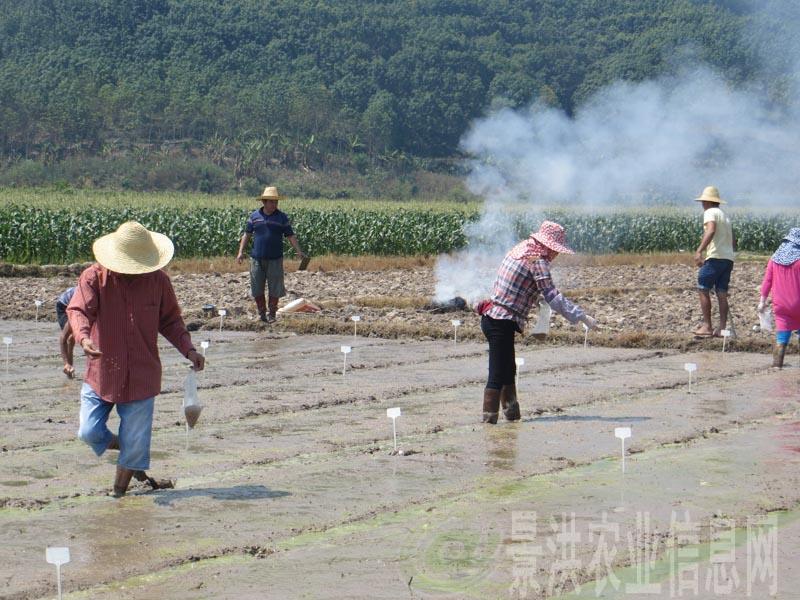 圖片其版權均歸原作者所有,未經許可嚴禁轉載或建立鏡像,如需轉載,請與作者或本站聯系