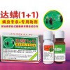 達螨（1+1）廠家_優惠的達螨中果農供應