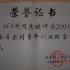 有實力的葡萄專業合作社傾情推薦|雁山葡萄專業合作社