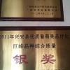 首屈一指的葡萄專業合作社就是發發葡萄種植|葡萄專業合作社基地