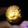 簡介:
