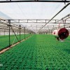 智能連棟溫室工程建設,良好口碑的智能連棟溫室工程就在恒大溫室