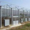 智能溫室承建商|去哪找專業的新型智能溫室建設