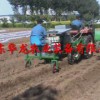 濰坊質量較好的2ZBX-1A單行牽引移栽機_廠家直銷|移栽機批發