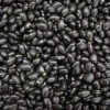 廊坊優質的豆豉專用黑豆推薦——黑豆批發廠家信息