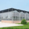 濰坊質量硬的?連棟生態餐廳公司,當屬軒農溫室園藝 連棟生態餐廳