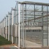 威海pc板溫室:莒縣晨旭建筑工程供應一流的pc板溫室