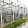 軒農溫室園藝 放心的紋絡式溫室大棚上哪找