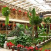 生態餐廳溫室造價,生態餐廳溫室價格行情