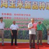 簡介: