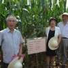 簡介: