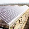 品牌好的福建光伏溫室大棚廠家|專業的福建光伏蔬菜大棚生產廠家