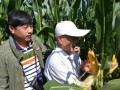 偉科966表現不一般，院士稱贊！ (10?)