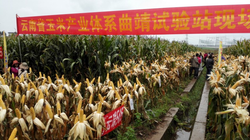 圖片其版權均歸原作者所有,未經許可嚴禁轉載或建立鏡像,如需轉載,請與作者或本站聯系