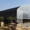福建效果好的福建農補標準蔬菜大棚,銷售福建農補大棚