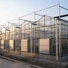 薄膜連棟溫室建造商家 專業的薄膜連棟溫室推薦