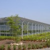 山東品牌好的紋絡式溫室大棚公司|紋絡式溫室大棚電話