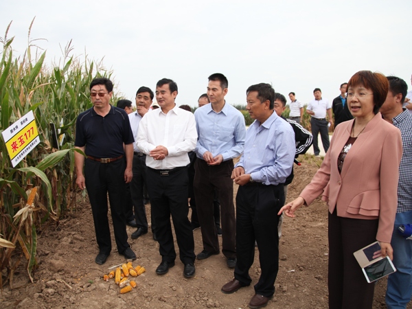 田間觀摩1.JPG 田間觀摩1.JPG