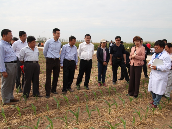 田間觀摩2.JPG 田間觀摩2.JPG