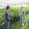 簡介: